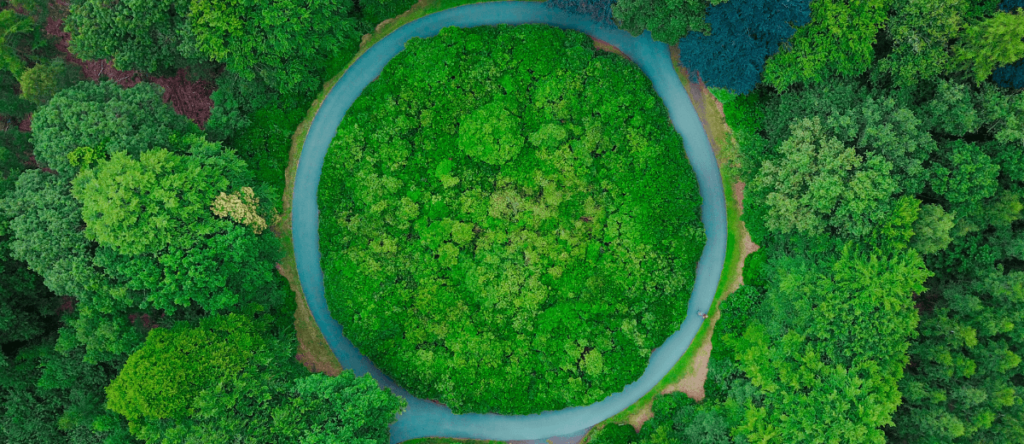 circular economy